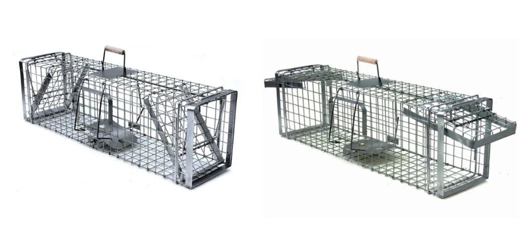 Snímka obrazovky 2026-02-19 o 20.35.28